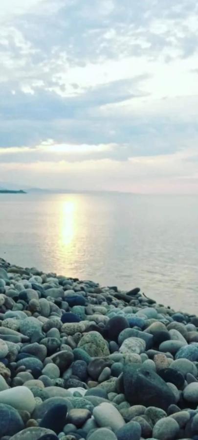 Гостевой Дом Белый Лотос Gagra Exterior foto